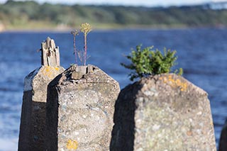 Breakwater at Bowling Harbour, Scotland