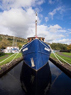 Seahorse in Forth and Clyde Canal, Scotland