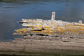 Wrecked Boat in Bowling Harbour, Scotland