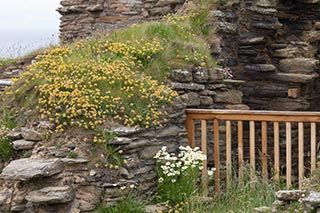 Castle Sinclair, Scotland