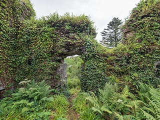 Fraoch Eilean Castle, Loch Awe, Scotland