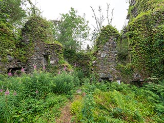 Fraoch Eilean Castle, Loch Awe, Scotland