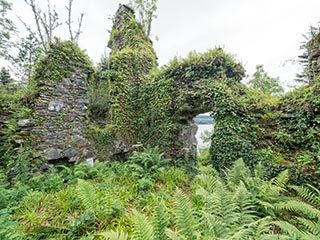 Fraoch Eilean Castle, Loch Awe, Scotland