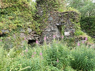 Fraoch Eilean Castle, Loch Awe, Scotland