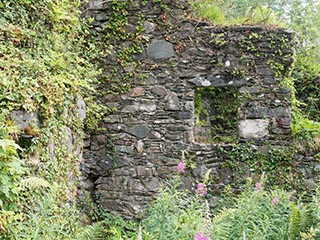 Fraoch Eilean Castle, Loch Awe, Scotland