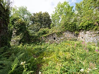 Fraoch Eilean Castle, Loch Awe, Scotland