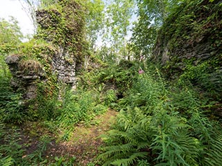 Fraoch Eilean Castle, Loch Awe, Scotland