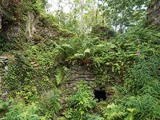 Fraoch Eilean Castle, Loch Awe, Scotland