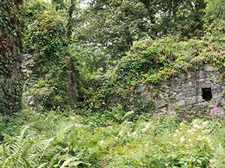 Fraoch Eilean Castle, Loch Awe, Scotland