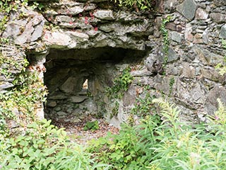 Fraoch Eilean Castle, Loch Awe, Scotland