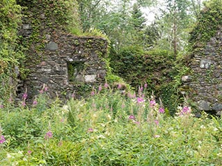 Fraoch Eilean Castle, Loch Awe, Scotland