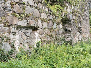 Fraoch Eilean Castle, Loch Awe, Scotland