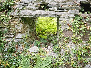 Fraoch Eilean Castle, Loch Awe, Scotland