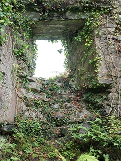 Fraoch Eilean Castle, Loch Awe, Scotland