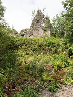 Fraoch Eilean Castle, Loch Awe, Scotland