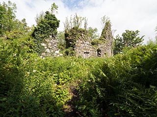 Fraoch Eilean Castle, Loch Awe, Scotland