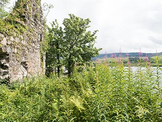 Fraoch Eilean Castle, Loch Awe, Scotland