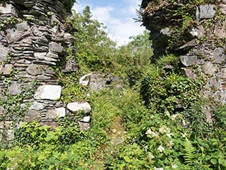 Fraoch Eilean Castle, Loch Awe, Scotland