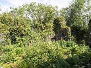 Fraoch Eilean Castle, Loch Awe, Scotland