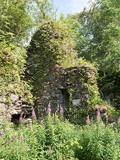 Fraoch Eilean Castle, Loch Awe, Scotland