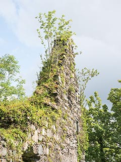 Fraoch Eilean Castle, Loch Awe, Scotland