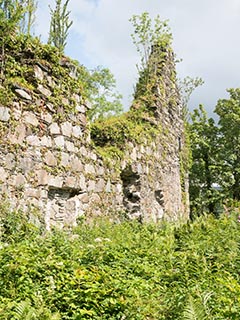 Fraoch Eilean Castle, Loch Awe, Scotland