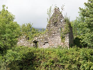 Fraoch Eilean Castle, Loch Awe, Scotland