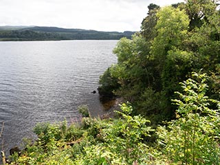 view of loch from Fraoch Eilean