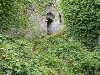 courtyard of Innis Chonnel Castle