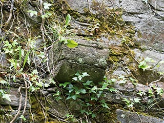 corbel on tower wall