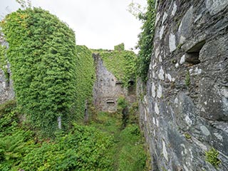 courtyard of Innis Chonnel Castle