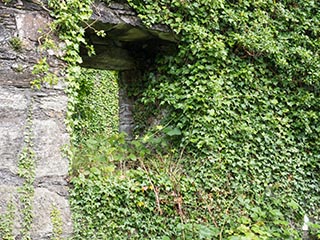 window of great hall, looking out