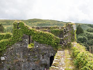 battlements and top of tower