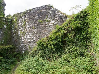 courtyard of Innis Chonnel Castle