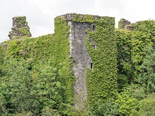 Innis Chonnel Castle, Loch Awe, Scotland