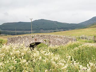 stone bridge over creek, Scotland