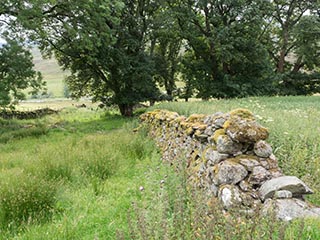 dry stone wall