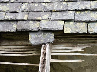 closeup of decaying roof