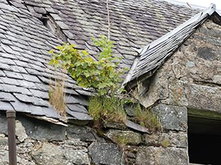 damaged slate roof