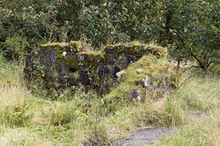 Torwood Castle, Scotland